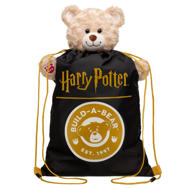 Harry Potter carrier