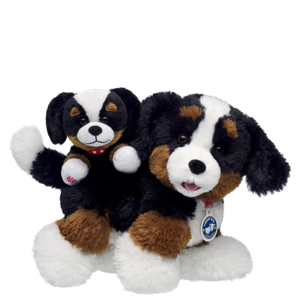 Mini Beans Promise Pets Bernese Mountain Dog