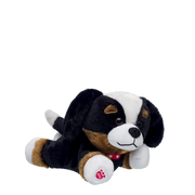 Mini Beans Promise Pets Bernese Mountain Dog