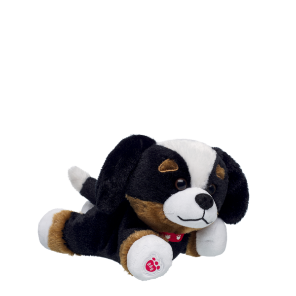 Mini Beans Promise Pets Bernese Mountain Dog