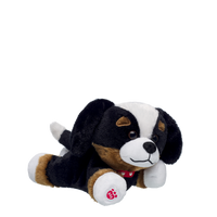 Mini Beans Promise Pets Bernese Mountain Dog