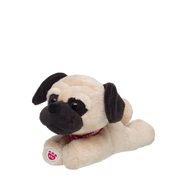 Mini Beans Promise Pets Pug
