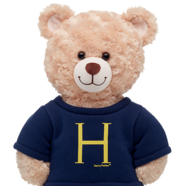 Harry-Sweater Harry Potter