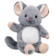 Chinchillin' Chinchilla