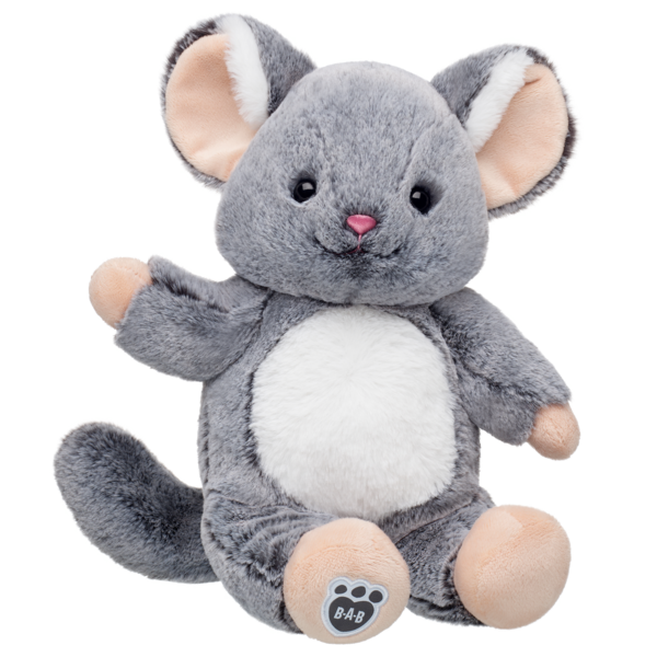 Chinchillin' Chinchilla