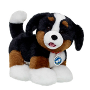 Promise Pets Bernese Mountain Dog