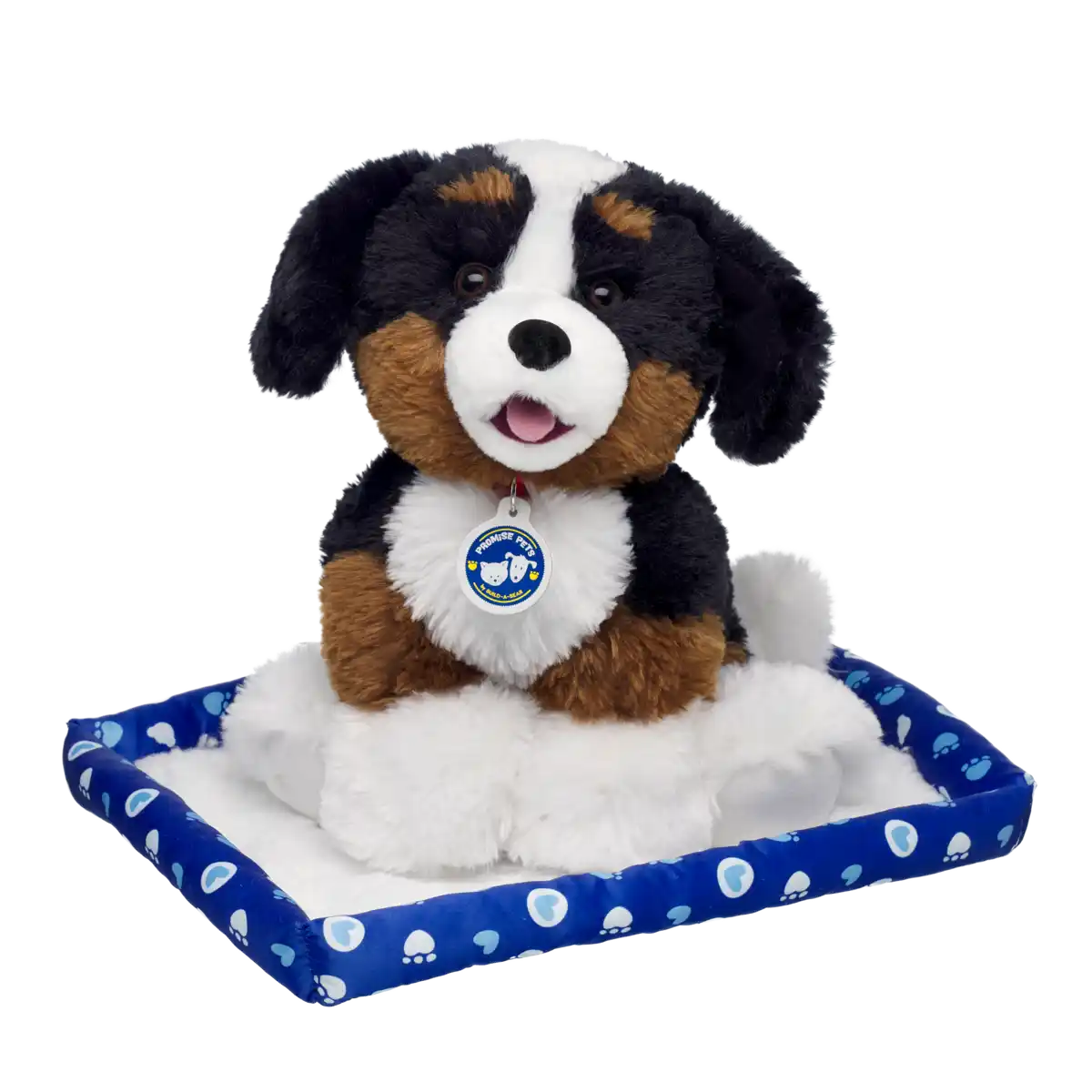 Blue pet seng