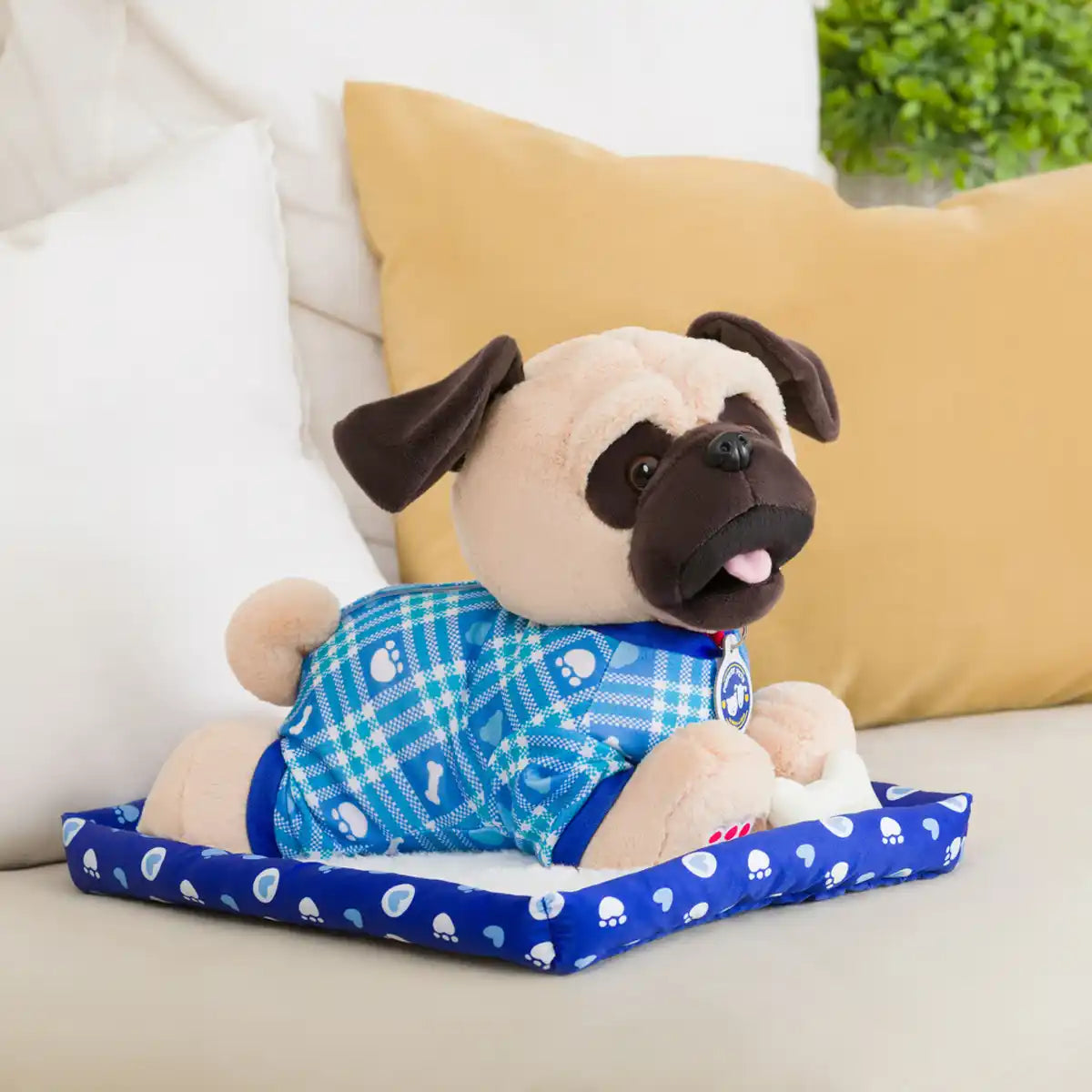 Blue pet sleeper