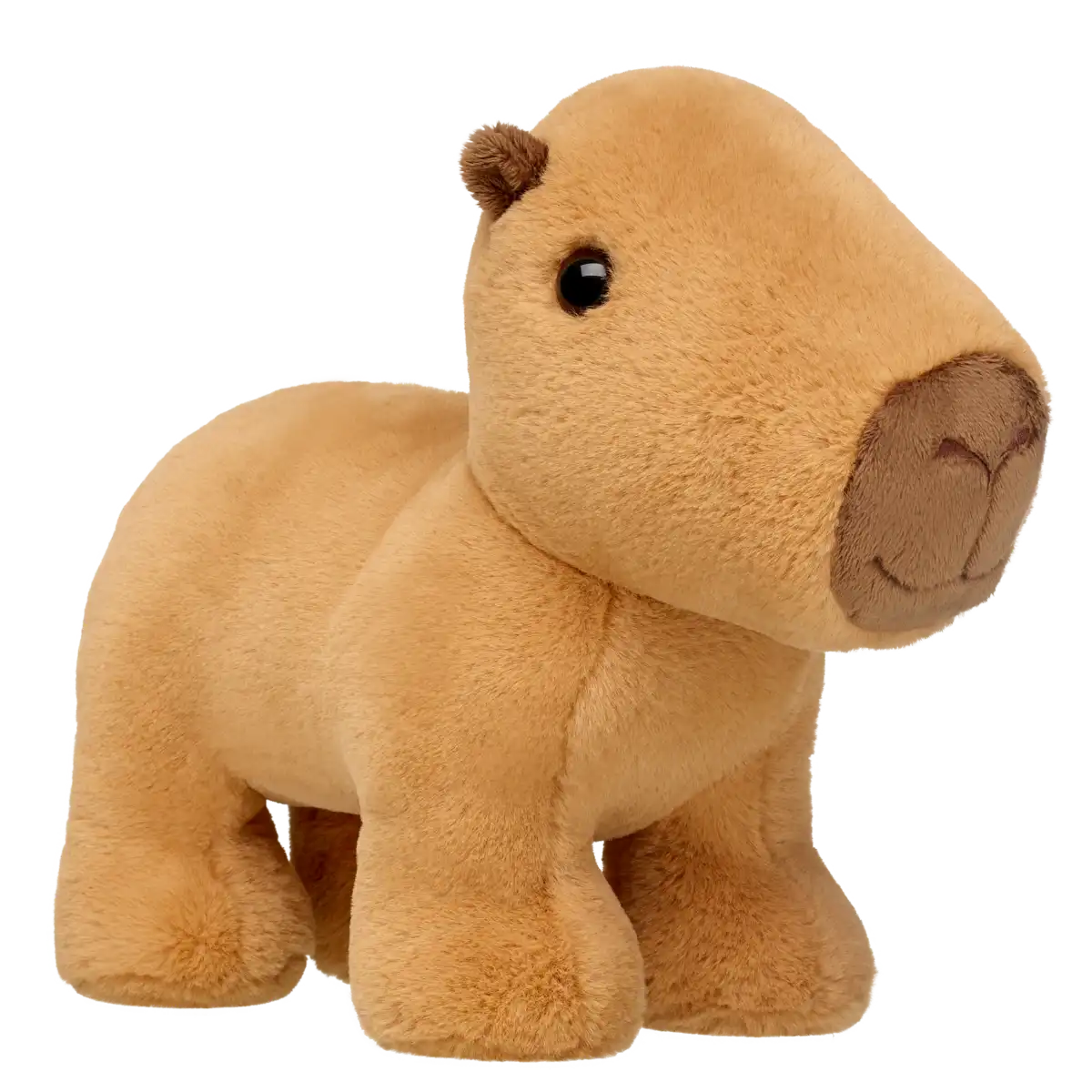 Capybara