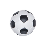 Fodbold