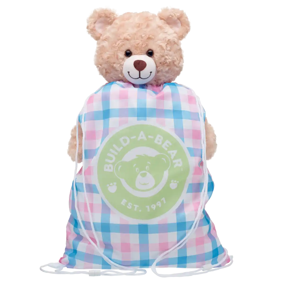 Gingham Carrier