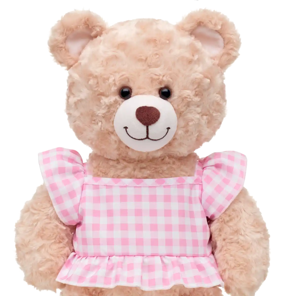 Pink Gingham Top