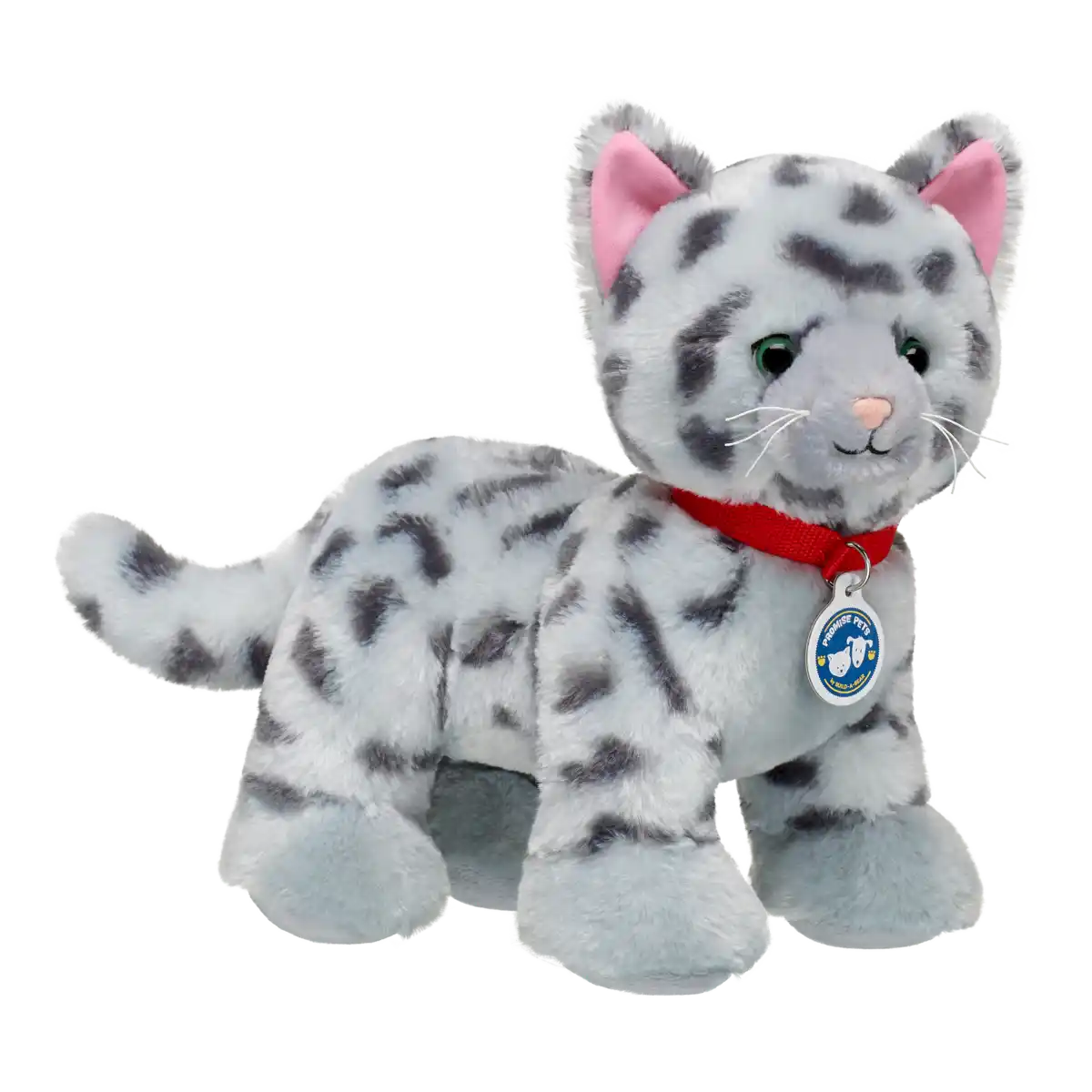 Promise Pets Ocicat