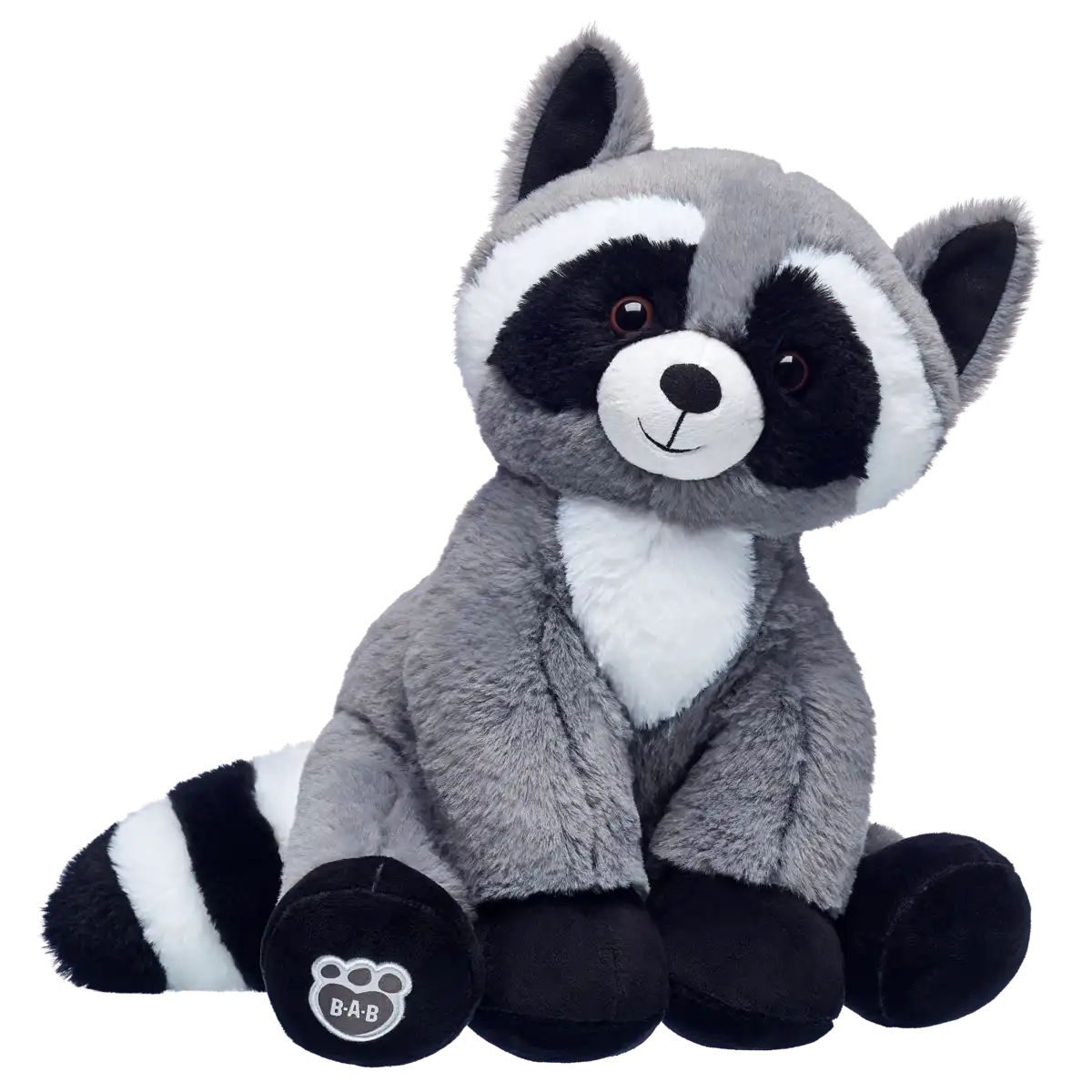 Raccoon
