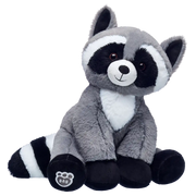Raccoon