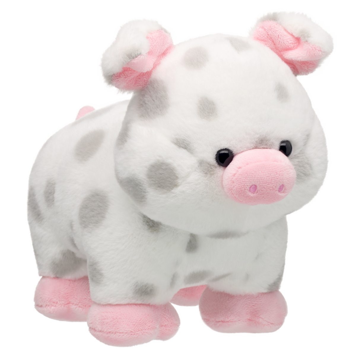 Spotted Pig