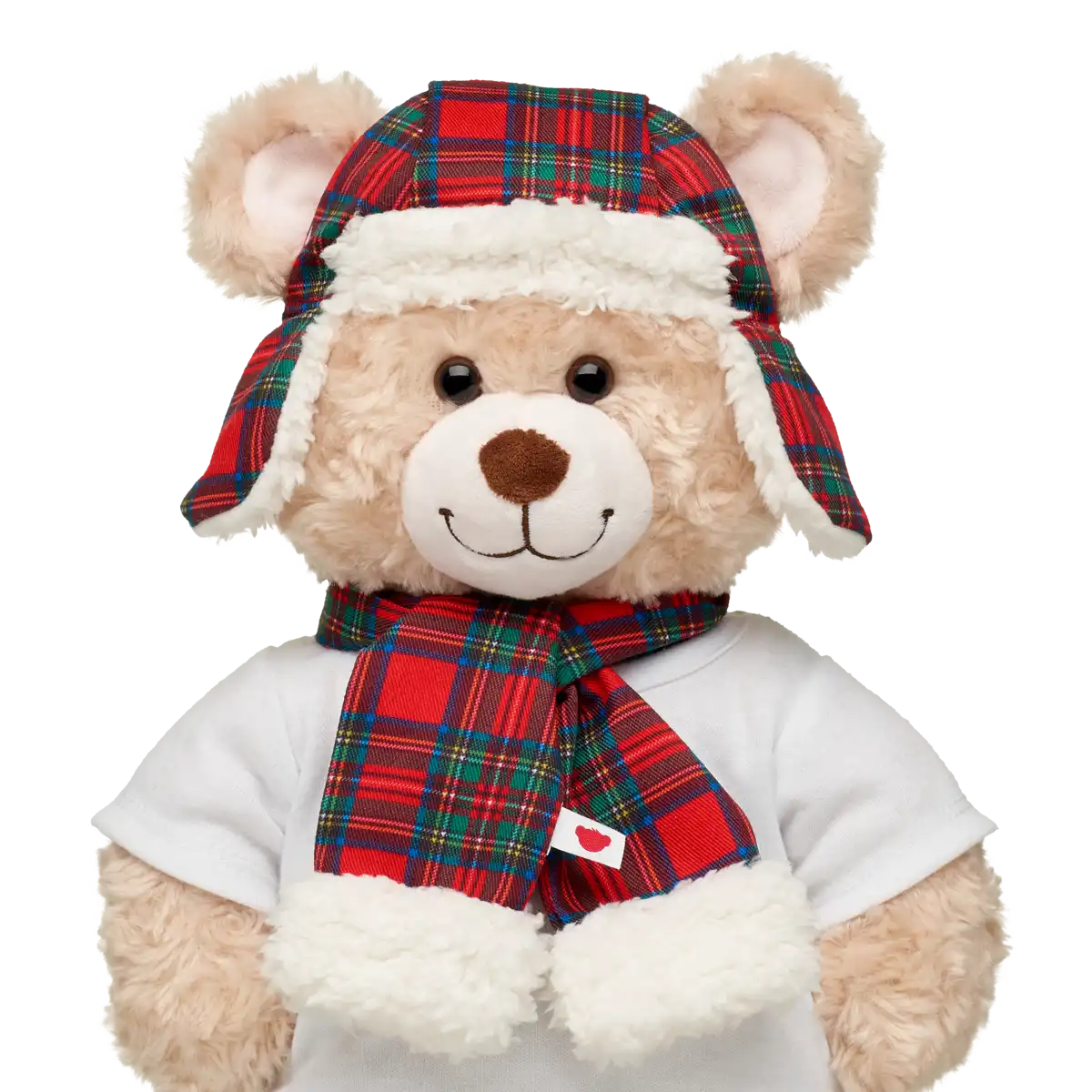 Tartan-Hut und Schal