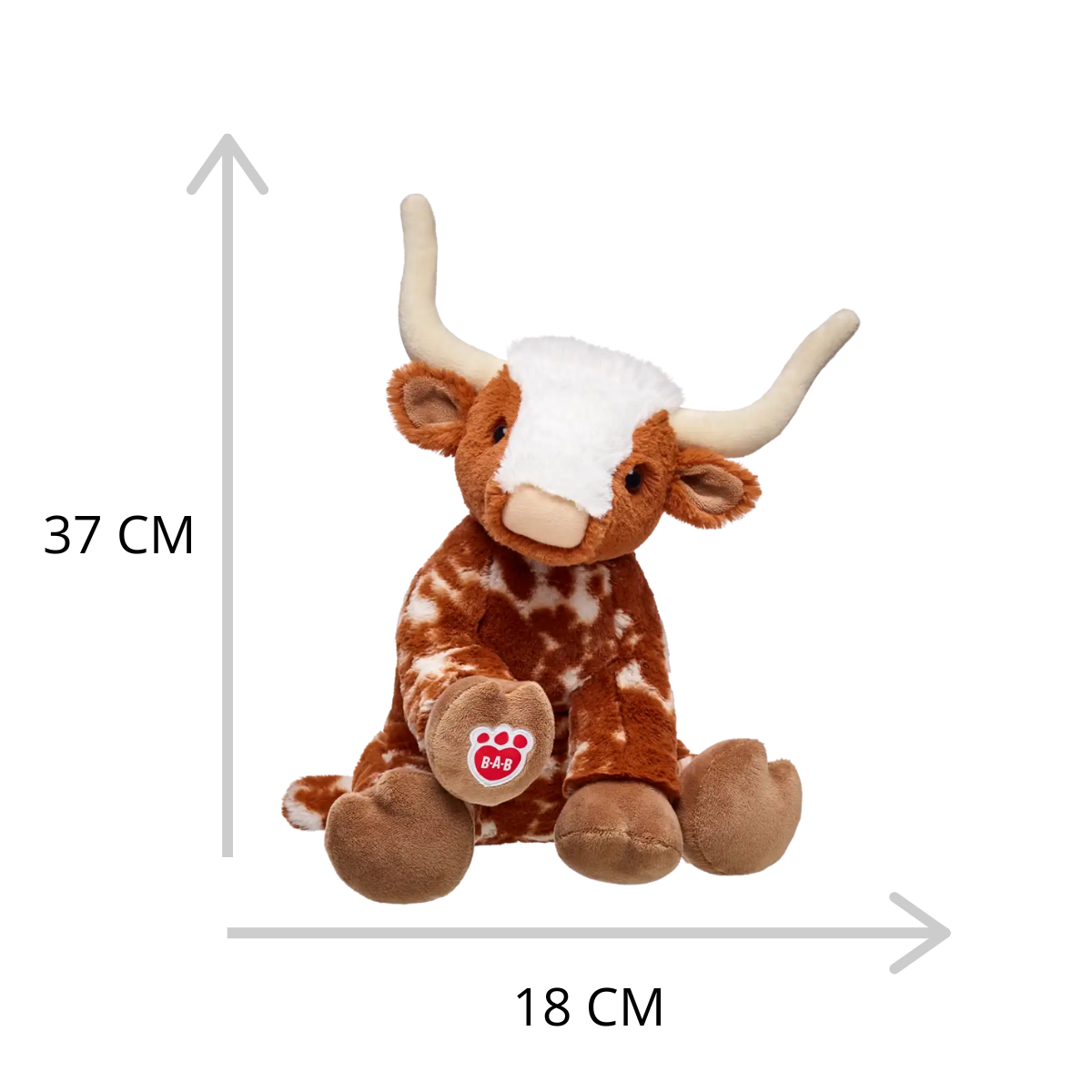 Longhorn Cow